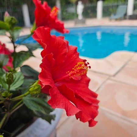 Les Jardins Du Patriarche Hotel Agde Buitenkant foto