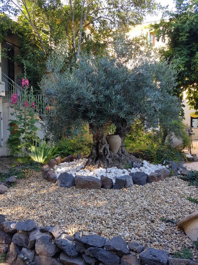 Les Jardins Du Patriarche Hotel Agde Buitenkant foto