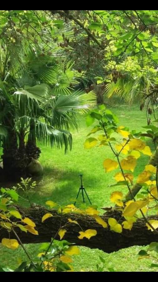 Les Jardins Du Patriarche Hotel Agde Buitenkant foto
