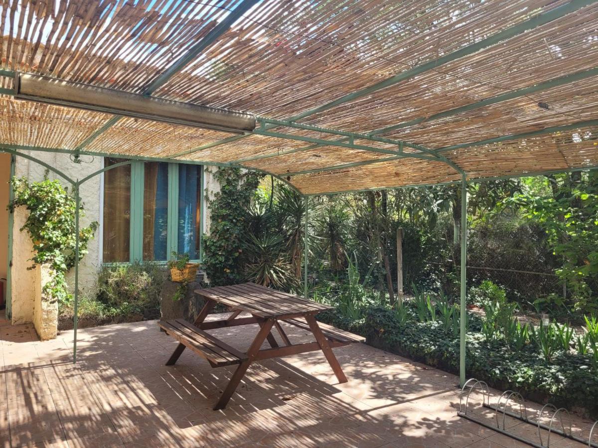 Les Jardins Du Patriarche Hotel Agde Buitenkant foto