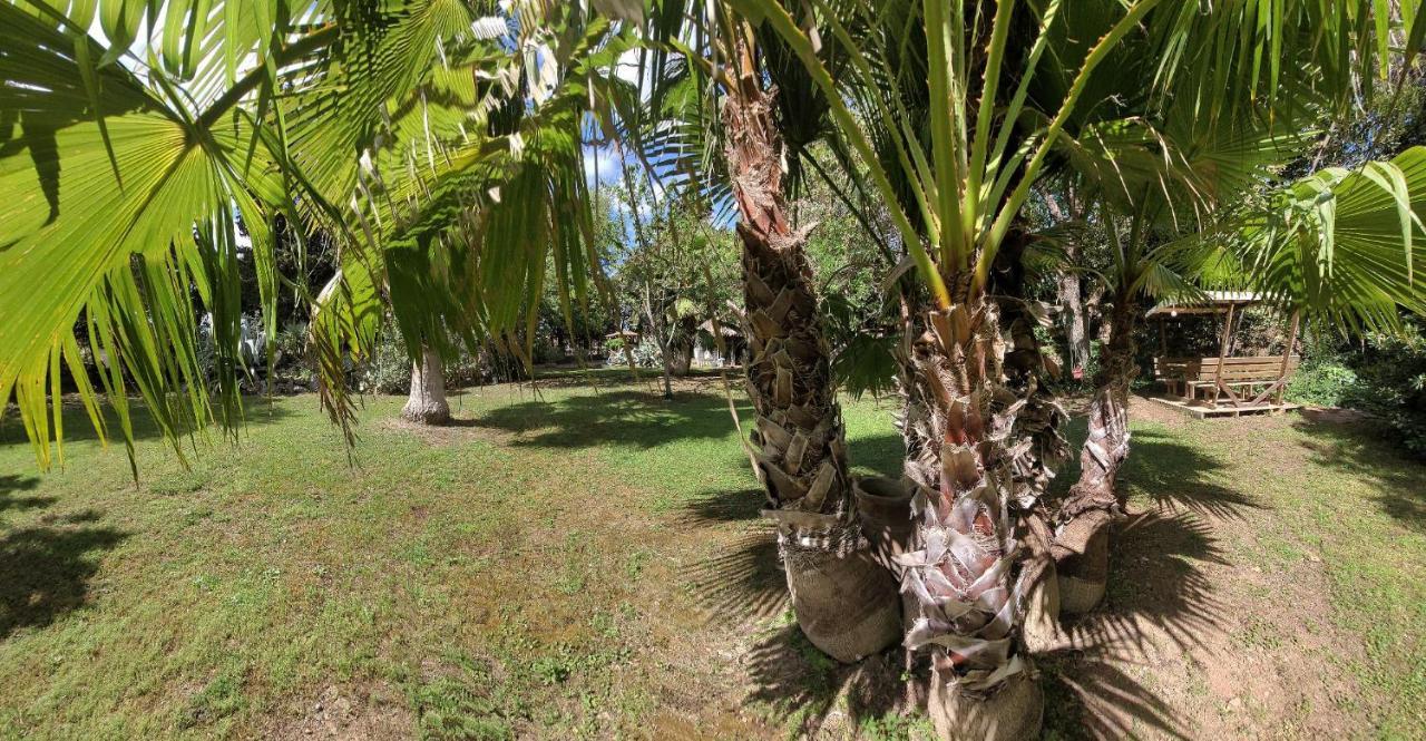 Les Jardins Du Patriarche Hotel Agde Buitenkant foto
