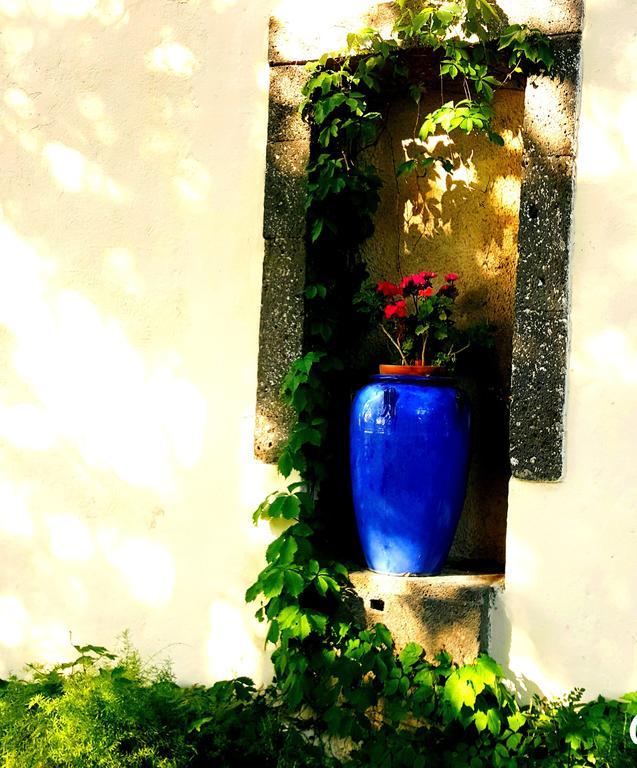 Les Jardins Du Patriarche Hotel Agde Buitenkant foto