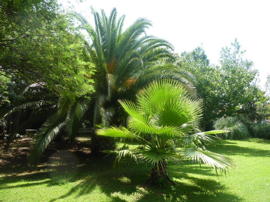 Les Jardins Du Patriarche Hotel Agde Buitenkant foto